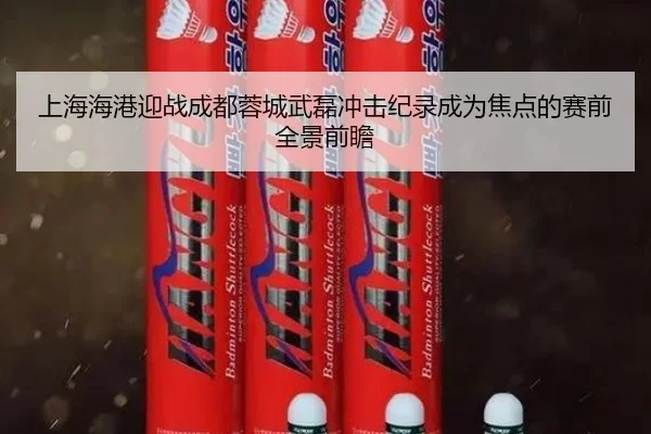 上海海港迎战成都蓉城武磊冲击纪录成为焦点的赛前全景前瞻