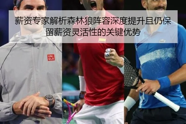薪资专家解析森林狼阵容深度提升且仍保留薪资灵活性的关键优势